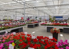 De trials locatie van PAC en Westhoff. 